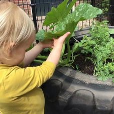 Kleinschalig kinderdagverblijf Beltrum